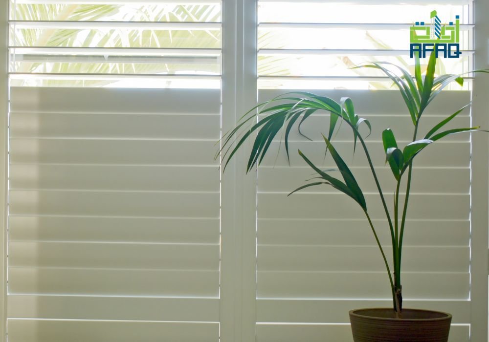 مقاول شتر في الرياض